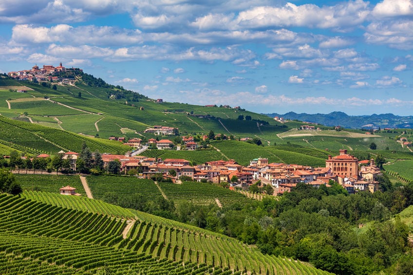 Barolo Town.jpg